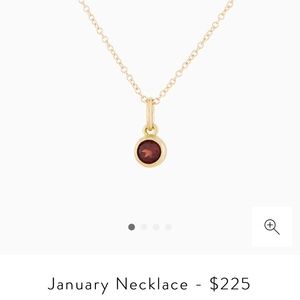 Mejuri Birthstone January Necklace - Garnet